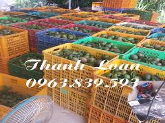 Khay nhựa, sóng nhựa đựng trái cây, nông sản, hải sản./ 0963.839.593 Ms.Loan