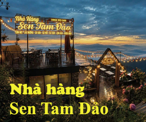 Nhà hàng Sen Tam Đảo – nằm ngay khu cổng trời nổi tiếng, view thoáng, săn mây cực đẹp. Chuyên lẩu, nướng, đặc sản núi rừng, phù hợp gia đình, nhóm bạn và khách đoàn. 0866913966