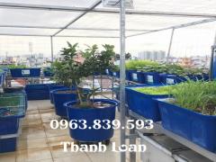 Thùng nhựa tròn 1000lit nuôi cá, tank nhựa 1000L, bể nhựa nuôi cá giá tốt / 0963 839 593 Ms.Loan