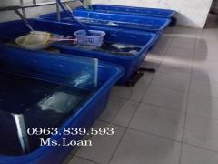 Thùng nuôi cá koi 1000L chữ nhật, bồn nhựa 1000lit mới / lh 0963 839 593 Ms.Loan