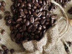 Cà phê hạt nguyên chất giá sỉ