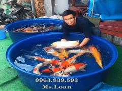 Bể nhựa lớn dung tích 1000l 2000l 3000l giảm giá hcm / 0963 839 593 Ms.Loan