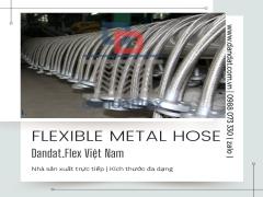 Khớp nối mềm inox chống rung ( Flexible Hose )