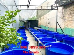 Thùng nhựa tròn nuôi cá, chậu nhựa trồng cây giá rẻ - 096 3839 597 Ms Kính