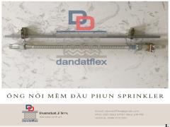 Dây ống mềm cho đầu phun chữa cháy Sprinkler DN25