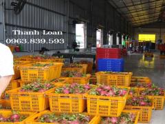 Rổ nhựa có quai sắt đựng trái cây, linh kiện - rổ nhựa giảm giá / 0963 839 593 Ms.Loan