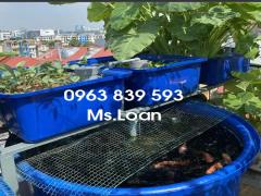 Bể nhựa lớn dung tích 1000l 2000l 3000l giảm giá hcm / 0963 839 593 Ms.Loan