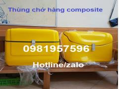 Thùng chở sau xe máy, Thùng chở hàng composite giá rẻ tại Hà Nộ