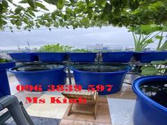 Thùng nhựa tròn nuôi cá, chậu nhựa trồng cây giá rẻ - 096 3839 597 Ms Kính